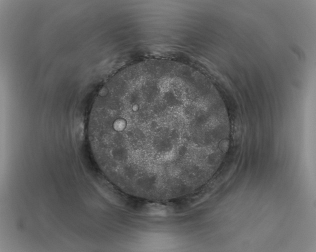 X0000113880703200910221356