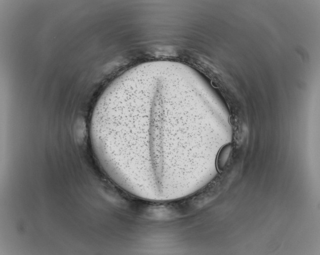 X0000113880704200910221356