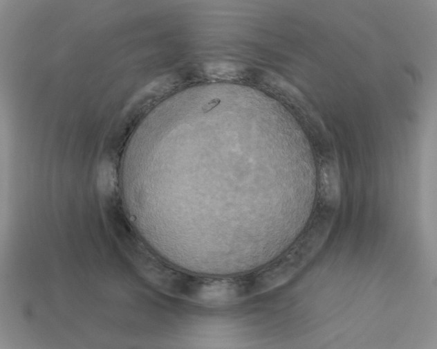 X0000113880705200910221356