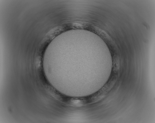 X0000113880706200910221356