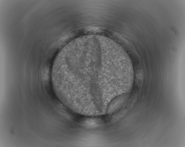 X0000113880708200910221356
