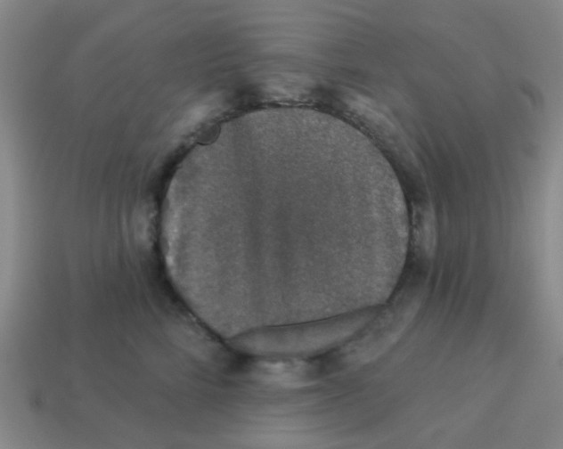 X0000113880712200910221356