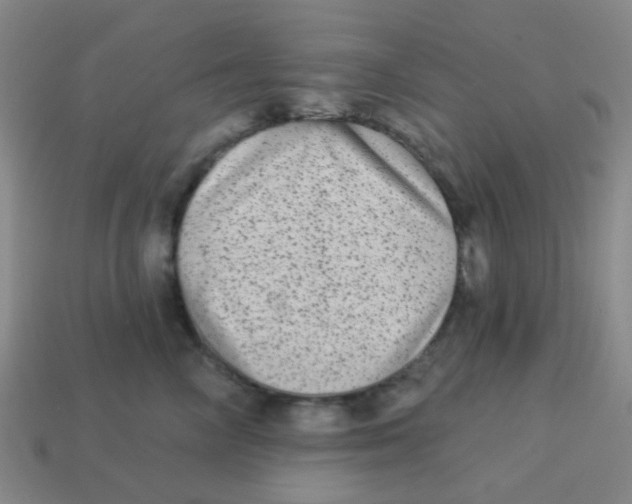 X0000113880714200910221356