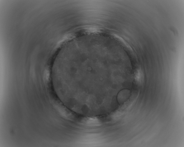 X0000113880715200910221356