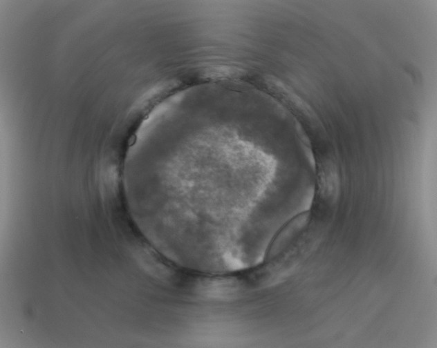 X0000113880716200910221356