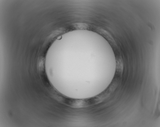 X0000113880717200910221356