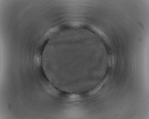 X0000113880718200910221356