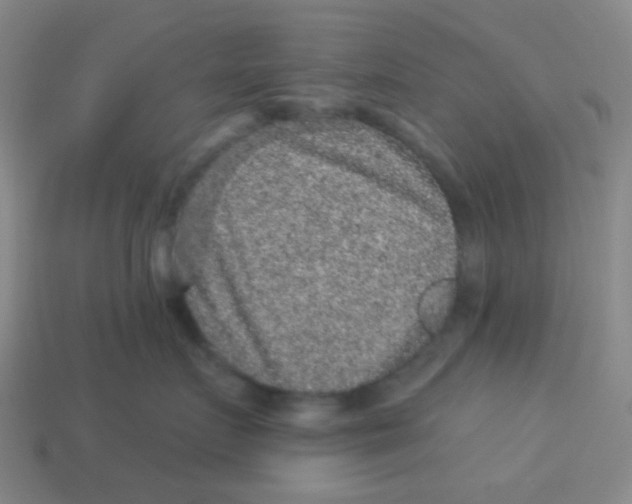 X0000113880719200910221356