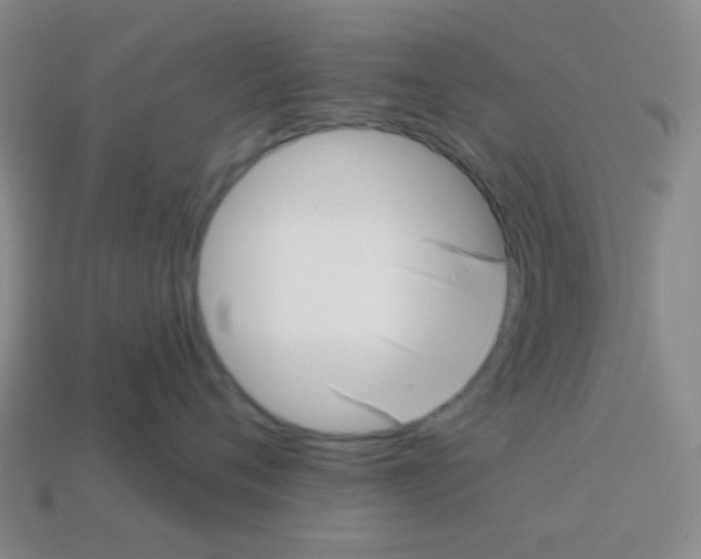 X0000113880720200910221356