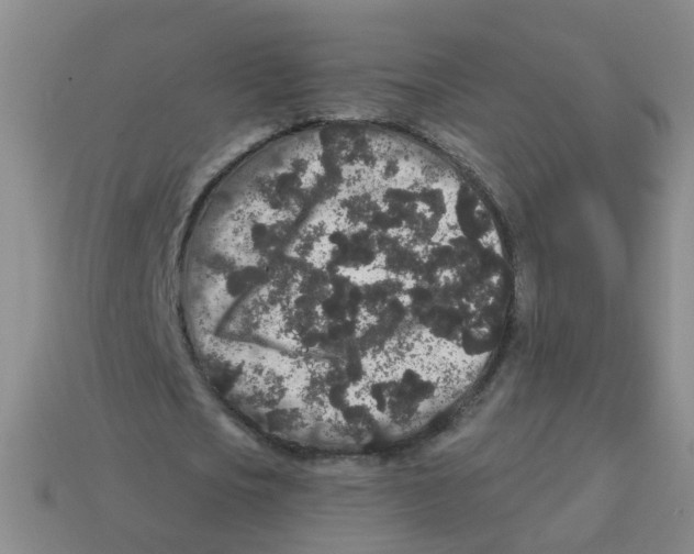 X0000113880721200910221355