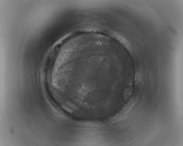 X0000113880722200910221355