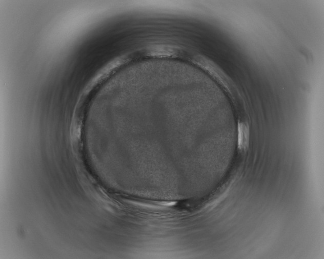X0000113880723200910221355
