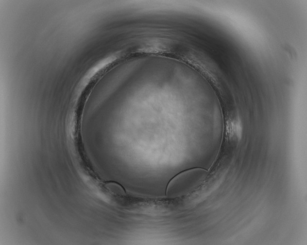 X0000113880724200910221355