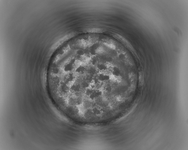 X0000113880725200910221355