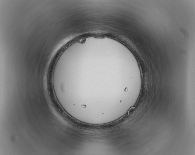 X0000113880726200910221355