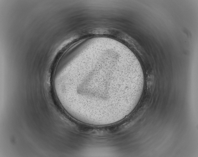 X0000113880727200910221355