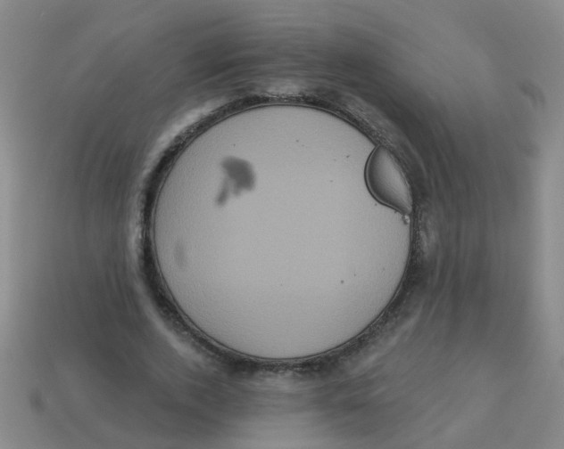 X0000113880728200910221355