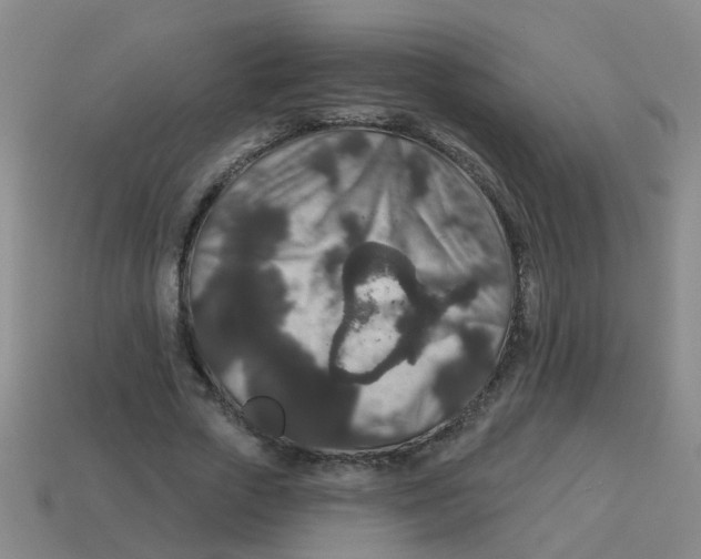 X0000113880729200910221355