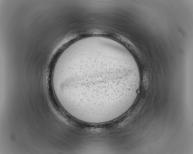 X0000113880730200910221355