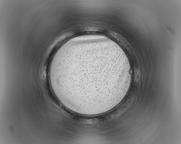 X0000113880731200910221355