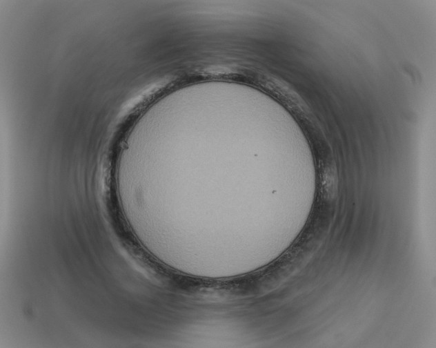 X0000113880732200910221355