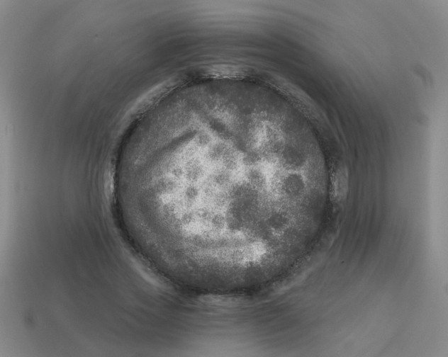 X0000113880733200910221355