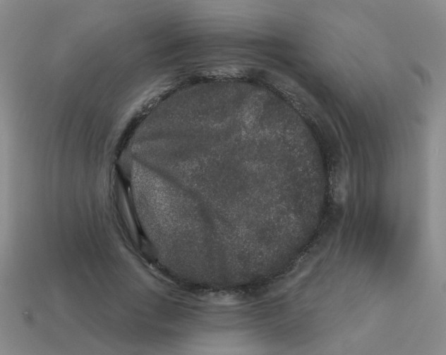 X0000113880735200910221355