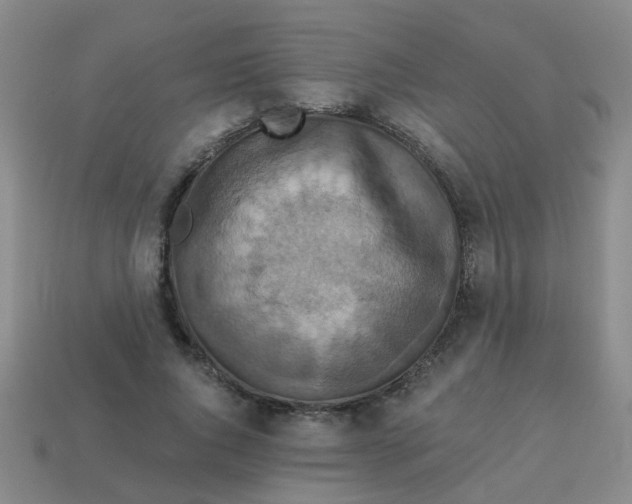 X0000113880736200910221355