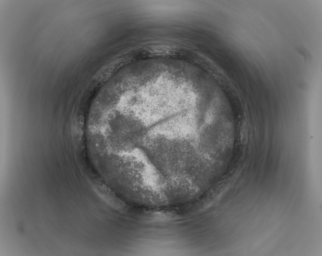 X0000113880737200910221355