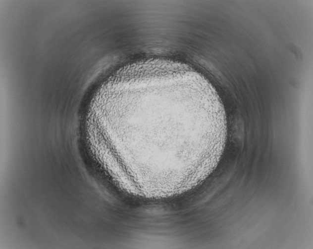 X0000113880738200910221355