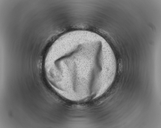 X0000113880739200910221355
