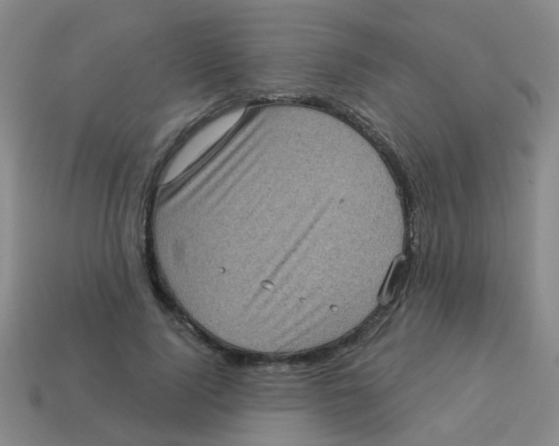 X0000113880740200910221355