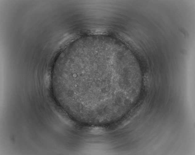 X0000113880741200910221355
