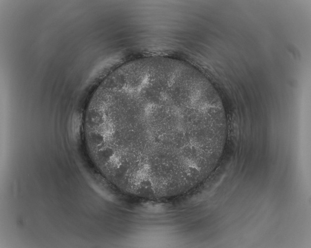 X0000113880742200910221355