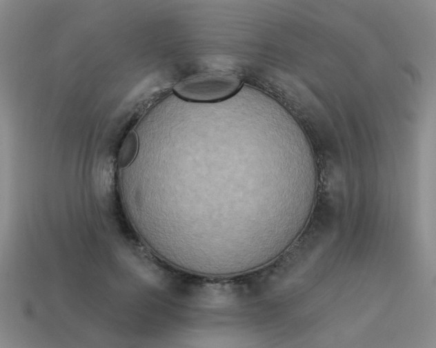 X0000113880744200910221355