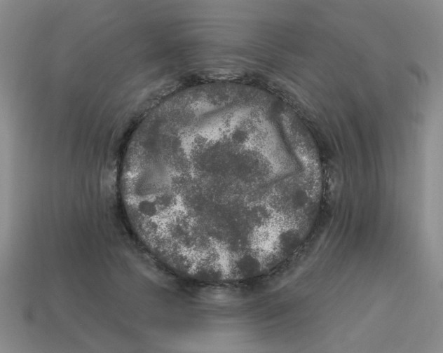 X0000113880745200910221355