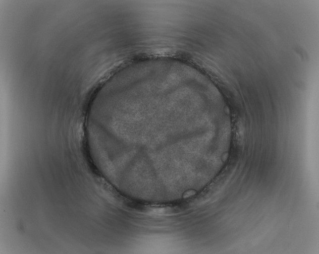 X0000113880746200910221355