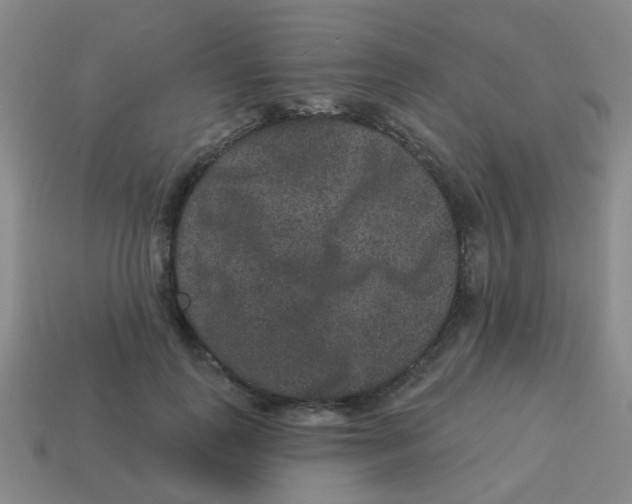 X0000113880747200910221355