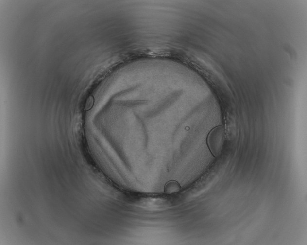 X0000113880748200910221355