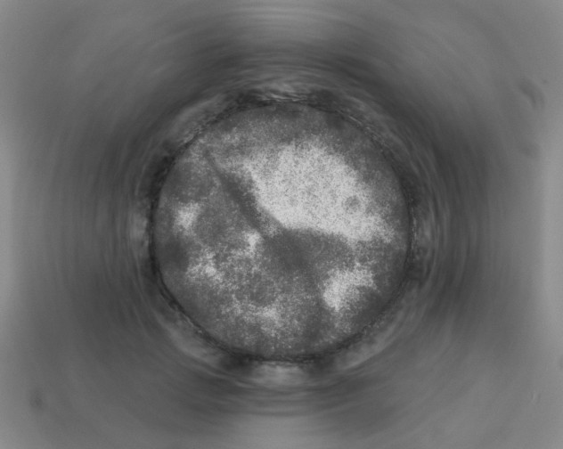 X0000113880749200910221355