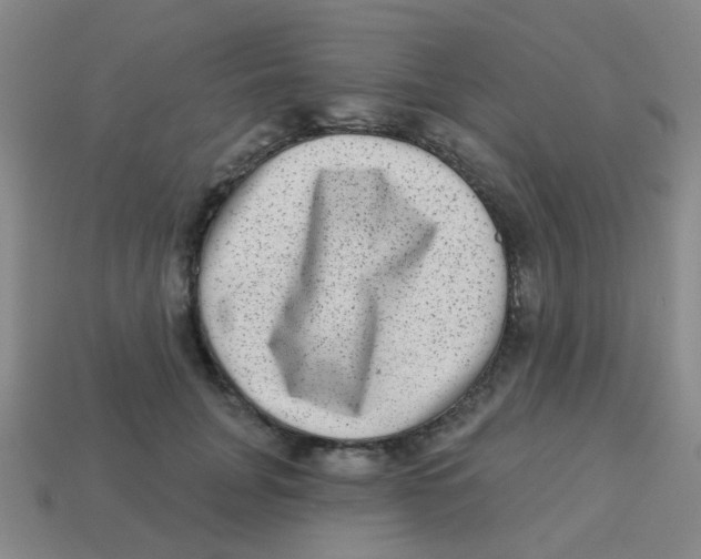 X0000113880751200910221355