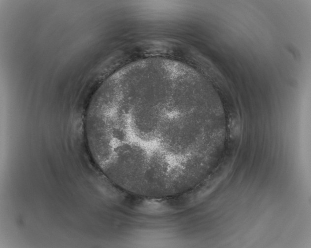 X0000113880753200910221355