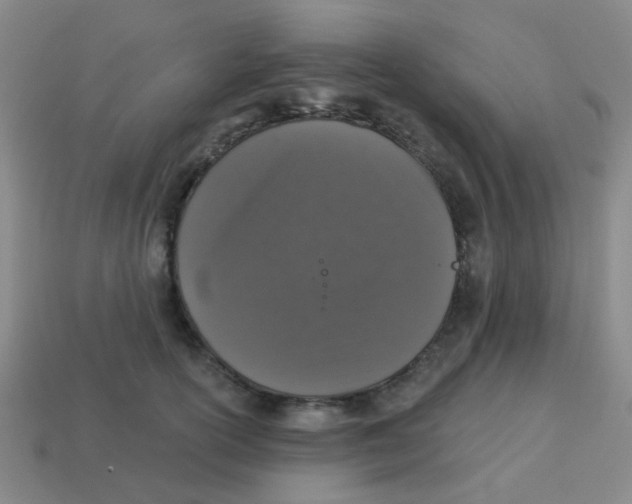 X0000113880754200910221355