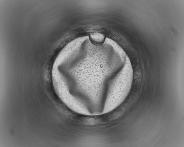 X0000113880755200910221355