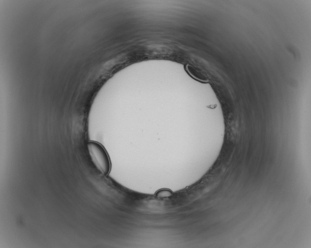 X0000113880756200910221355