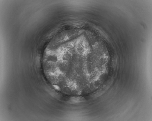 X0000113880757200910221355