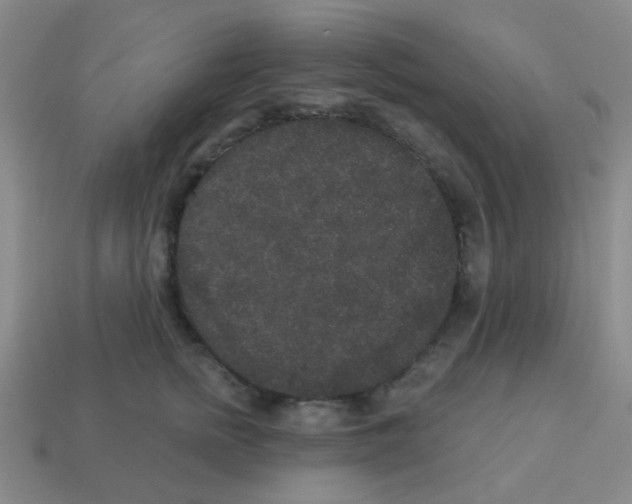 X0000113880758200910221356