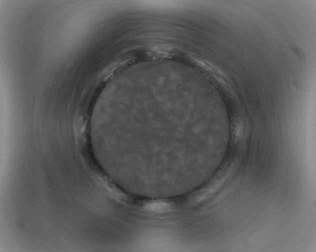 X0000113880759200910221356