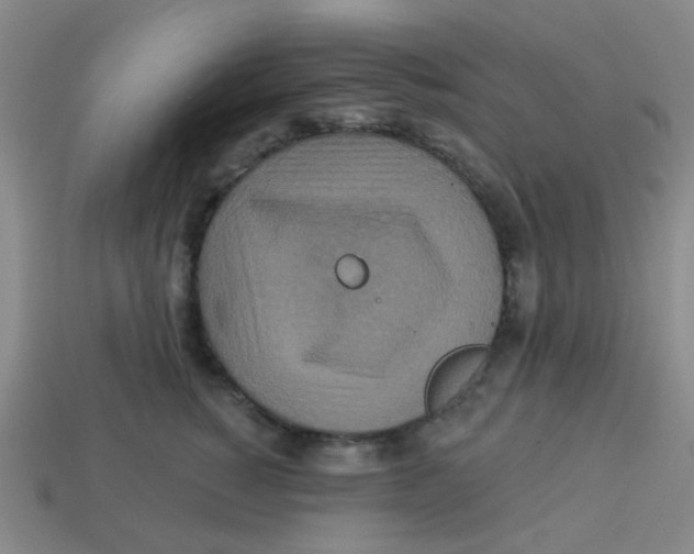 X0000113880760200910221356