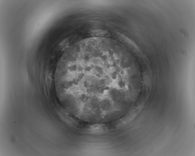 X0000113880761200910221356